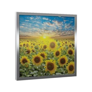 Üveg - kép infrapanel Fenix EcoSun 300 G (300 W) Képes kivitel - Napraforgó