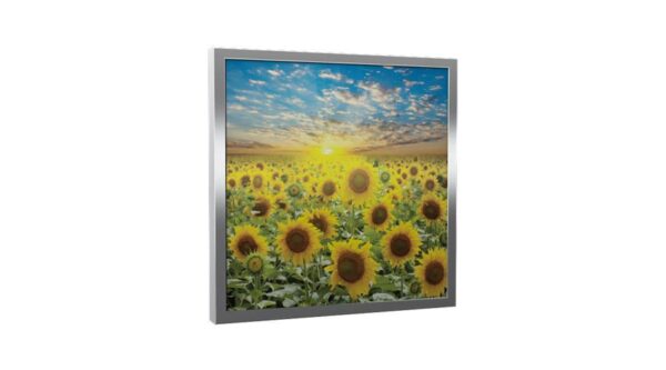 Üveg - kép infrapanel Fenix EcoSun 300 G (300 W) Képes kivitel - Napraforgó