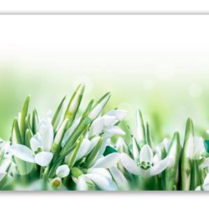 Üveg - kép infrapanel Snowdrops (600 W) Új termék!